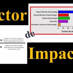 El factor de la equivocaciÃ³n