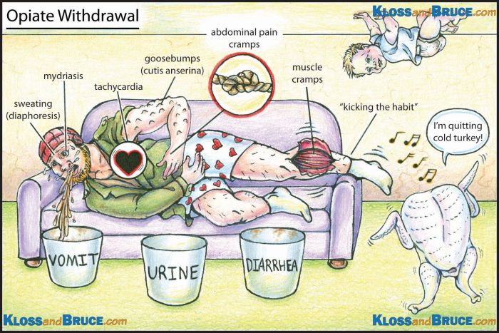 Before opioid questioning pregnancy seed prescription impact answers says pictured arabidopsis harvested plants being neurodevelopment early child may