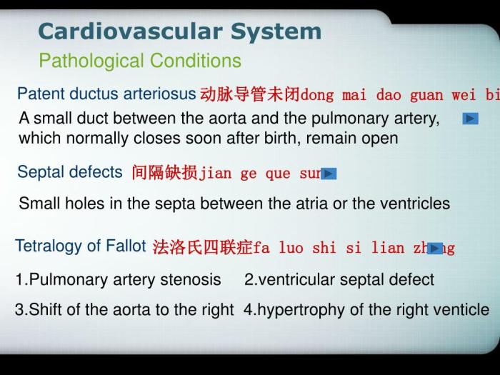 Rapid random ineffectual and irregular contractions of the heart