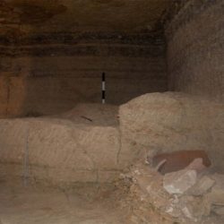 Biomolecular analyses enable new insights into ancient egyptian embalming